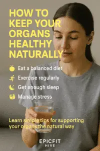 Read more about the article How to Keep Your Organs Healthy Naturally